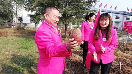 后疫情时代，薯类食品如何成为健康餐桌的“常驻嘉宾”？